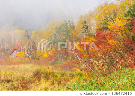 長野縣小谷村的秋天,櫂池高原紅葉,櫂池自然公園 長野縣小谷村的秋天,櫂池高原紅葉,櫂池自然公園 136472410