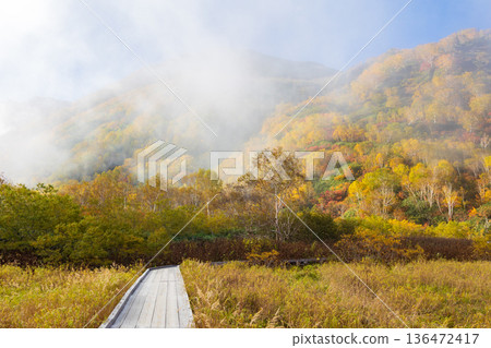 長野縣小谷村的秋天,櫂池高原紅葉,櫂池自然公園 長野縣小谷村的秋天,櫂池高原紅葉,櫂池自然公園 136472417