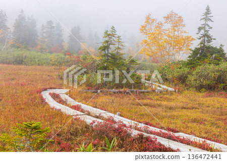 Autumn in Otari Village, Nagano Prefecture - Autumn leaves at Tsugaike Highland - Tsugaike Nature Park Autumn in Otari Village, Nagano Prefecture - Autumn leaves at Tsugaike Highland - Tsugaike Nature Park 136472441
