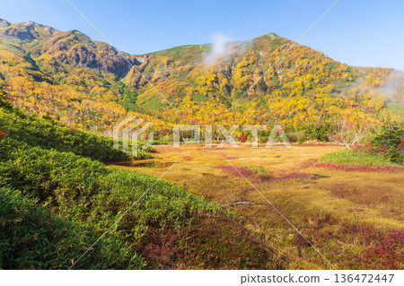 長野縣小谷村的秋天，櫂池高原紅葉，櫂池自然公園 136472447