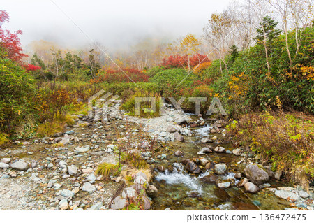Autumn in Otari Village, Nagano Prefecture - Autumn leaves at Tsugaike Highland - Tsugaike Nature Park 136472475