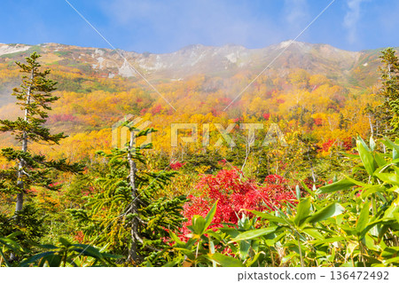 Autumn in Otari Village, Nagano Prefecture - Autumn leaves at Tsugaike Highland - Tsugaike Nature Park Autumn in Otari Village, Nagano Prefecture - Autumn leaves at Tsugaike Highland - Tsugaike Nature Park 136472492