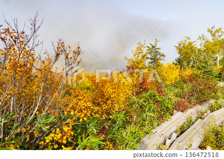 Autumn in Otari Village, Nagano Prefecture - Autumn leaves at Tsugaike Highland - Tsugaike Nature Park Autumn in Otari Village, Nagano Prefecture - Autumn leaves at Tsugaike Highland - Tsugaike Nature Park 136472518