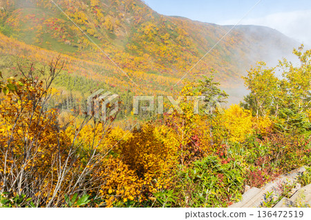 Autumn in Otari Village, Nagano Prefecture - Autumn leaves at Tsugaike Highland - Tsugaike Nature Park Autumn in Otari Village, Nagano Prefecture - Autumn leaves at Tsugaike Highland - Tsugaike Nature Park 136472519