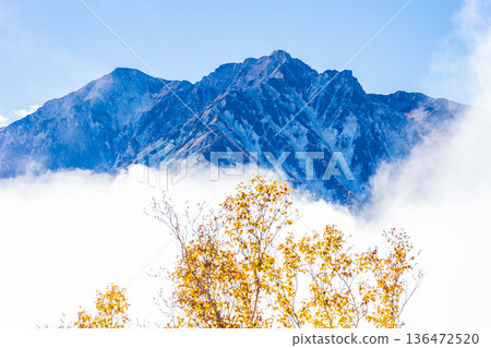 Autumn in Otari Village, Nagano Prefecture. Autumn leaves at Tsugaike Plateau. View of Mount Shakushi and Mount Hakuba Yari from Tsugaike Nature Park. 136472520