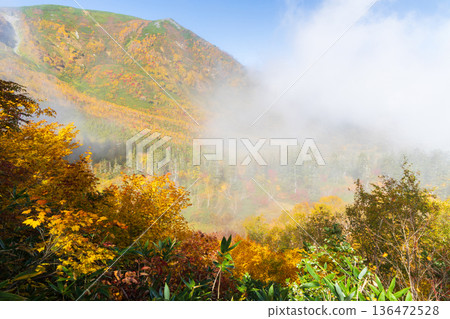 長野縣小谷村的秋天,櫂池高原紅葉,櫂池自然公園 長野縣小谷村的秋天,櫂池高原紅葉,櫂池自然公園 136472528