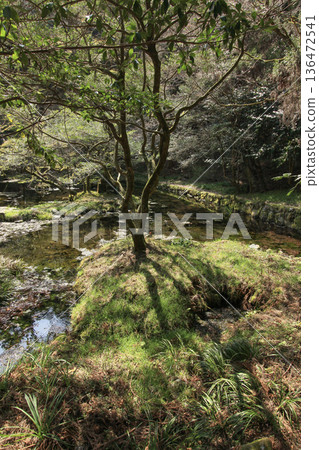 Yamabushi water source Yamabushi water source 136472541