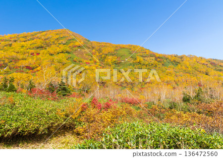 長野縣小谷村的秋天,櫂池高原紅葉,櫂池自然公園 長野縣小谷村的秋天,櫂池高原紅葉,櫂池自然公園 136472560