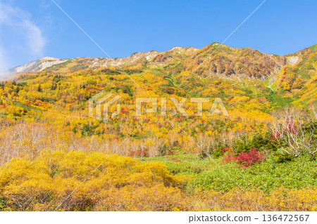 長野縣小谷村的秋天,櫂池高原紅葉,櫂池自然公園 長野縣小谷村的秋天,櫂池高原紅葉,櫂池自然公園 136472567