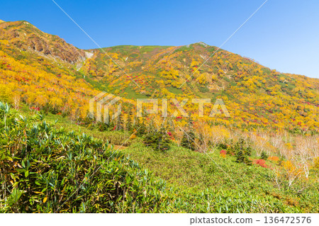 長野縣小谷村的秋天，櫂池高原紅葉，櫂池自然公園 136472576