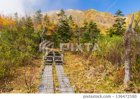 Autumn in Otari Village, Nagano Prefecture - Autumn leaves at Tsugaike Highland - Tsugaike Nature Park Autumn in Otari Village, Nagano Prefecture - Autumn leaves at Tsugaike Highland - Tsugaike Nature Park 136472580