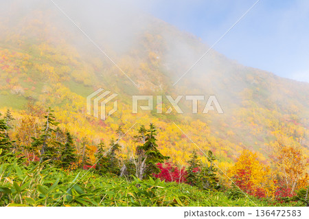 Autumn in Otari Village, Nagano Prefecture - Autumn leaves at Tsugaike Highland - Tsugaike Nature Park Autumn in Otari Village, Nagano Prefecture - Autumn leaves at Tsugaike Highland - Tsugaike Nature Park 136472583