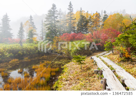 長野縣小谷村的秋天,櫂池高原紅葉,櫂池自然公園 長野縣小谷村的秋天,櫂池高原紅葉,櫂池自然公園 136472585