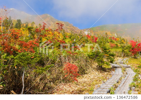 長野縣小谷村的秋天,櫂池高原紅葉,櫂池自然公園 長野縣小谷村的秋天,櫂池高原紅葉,櫂池自然公園 136472586