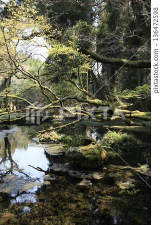 Yamabushi water source Yamabushi water source 136472598