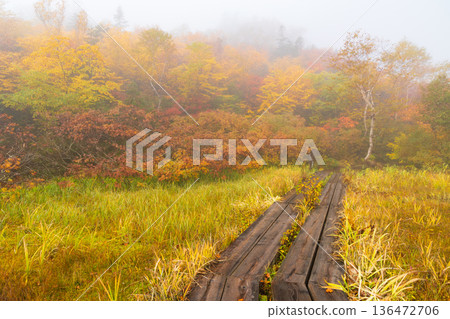 Autumn in Otari Village, Nagano Prefecture - Autumn leaves at Tsugaike Highland - Tsugaike Nature Park Autumn in Otari Village, Nagano Prefecture - Autumn leaves at Tsugaike Highland - Tsugaike Nature Park 136472706