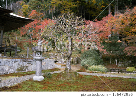 被秋葉包裹的風景 被秋葉包裹的風景 136472956