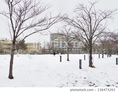 Snow-covered Hiroo Disaster Prevention Park, Ichikawa City, Chiba Prefecture Snow-covered Hiroo Disaster Prevention Park, Ichikawa City, Chiba Prefecture 136473263
