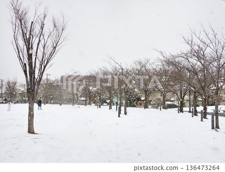 千葉縣市川市廣尾防災公園被白雪覆蓋 136473264