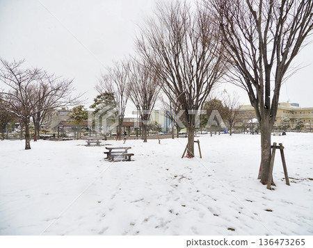 千葉縣市川市廣尾防災公園被白雪覆蓋 千葉縣市川市廣尾防災公園被白雪覆蓋 136473265