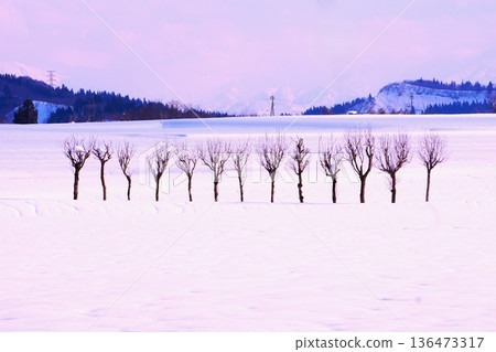 哈薩克斯坦雪域的樹 哈薩克斯坦雪域的樹 136473317