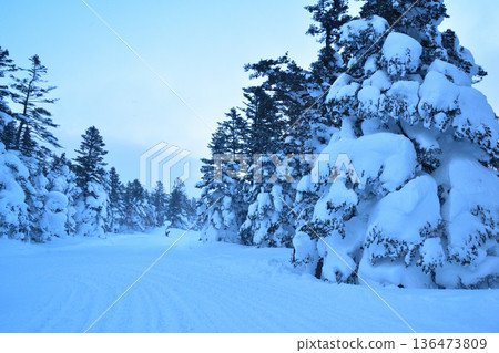 Rime trees Miyagi Zao 136473809