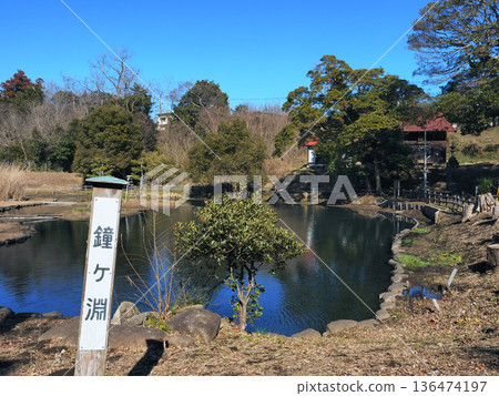 金島(君津市) 金島(君津市) 136474197