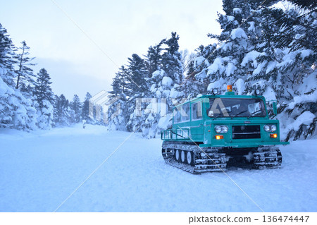 Rime trees Miyagi Zao 136474447