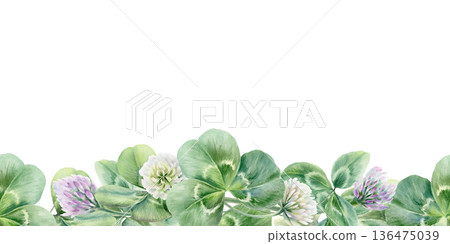 Seamless border of white and lilac clover flowers and leaves,symbolizing bloom,new life,and luck for newlyweds.Soft watercolor for wedding decor,invites,joyful seasonal festive Seamless border of white and lilac clover flowers and leaves,symbolizing bloom,new life,and luck for newlyweds.Soft watercolor for wedding decor,invites,joyful seasonal festive 136475039