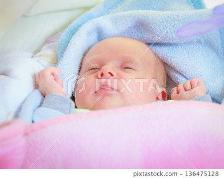 Little newborn baby sleeping calmly in blanket Little newborn baby sleeping calmly in blanket 136475128