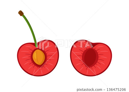 Two cherry halves one with stem and pit, and one without. Hand drawn flat style Two cherry halves one with stem and pit, and one without. Hand drawn flat style 136475206