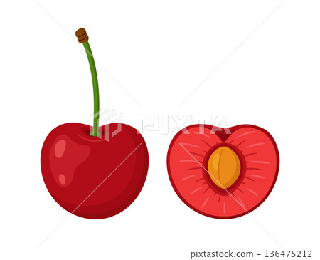 Whole red cherry and half cherry with pit and pulp. Hand drawn trendy flat style 136475212