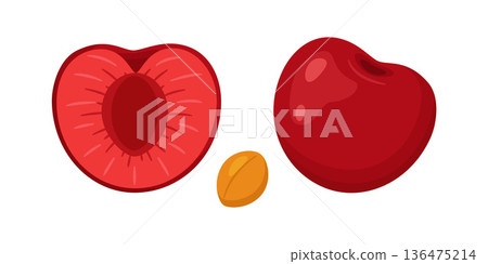 Whole red cherry, half cherry and separate pit. Hand drawn trendy flat style 136475214