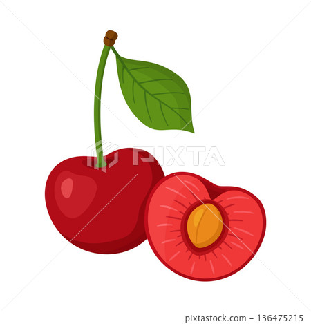 Whole red cherry and half cherry with pit and pulp. Hand drawn trendy flat style 136475215