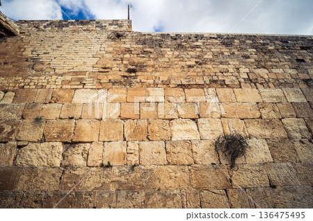 Western Wall (Kotel). 136475495