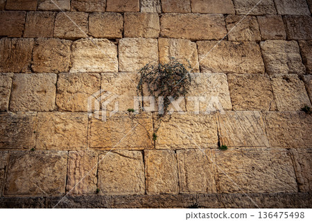 Western Wall (Kotel). 136475498