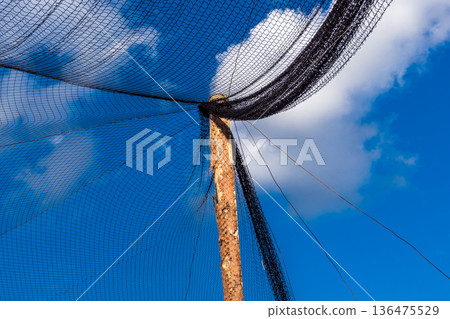 Anti-drone nets defense system near Kramatorsk, Ukraine Anti-drone nets defense system near Kramatorsk, Ukraine 136475529