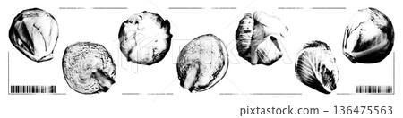 Cabbage crush trendy 2026 stickers with grunge punk dotted texture for y2k collage. Creative halftone monochrome stipple elements set retro photocopy vector illustration for print, poster, wear design Cabbage crush trendy 2026 stickers with grunge punk dotted texture for y2k collage. Creative halftone monochrome stipple elements set retro photocopy vector illustration for print, poster, wear design 136475563