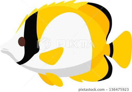Flat style butterflyfish illustration featuring a bright yellow and black reef fish in tropical ocean waters, Flat style butterflyfish illustration featuring a bright yellow and black reef fish in tropical ocean waters, 136475923