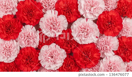 紅色和粉紅色康乃馨花卉背景素材 136476077