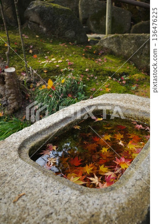 鎌倉:秋葉漂浮在石製水池中 鎌倉:秋葉漂浮在石製水池中 136476225