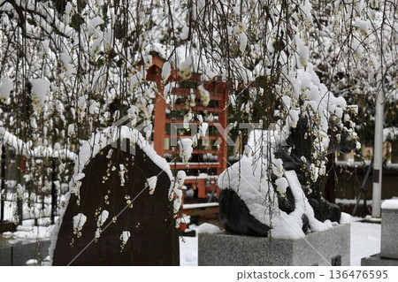 Snow-covered shrine stairs at Kawaguchi Shrine, Saitama Prefecture Snow-covered shrine stairs at Kawaguchi Shrine, Saitama Prefecture 136476595