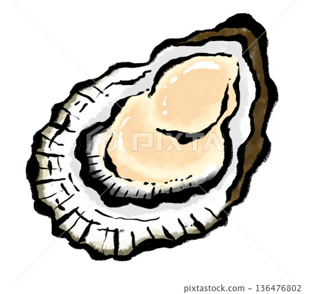 Japanese-style illustration of fresh oysters Japanese-style illustration of fresh oysters 136476802