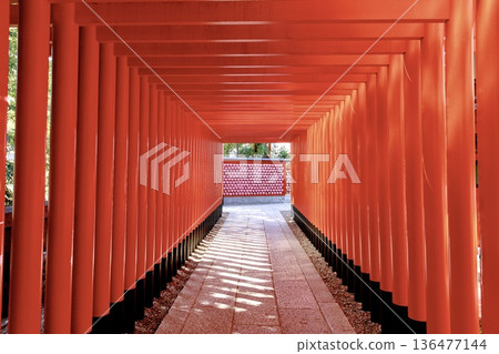 犬山市三光稻荷神社的千本鳥居與心型供牌 犬山市三光稻荷神社的千本鳥居與心型供牌 136477144