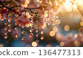 Heat haze cherry blossom decoration 136477313