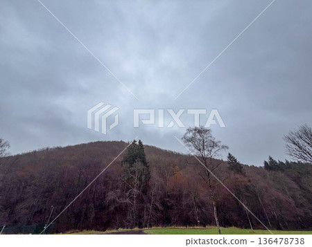Misty hillside adorned with barren trees and peaceful surroundings Misty hillside adorned with barren trees and peaceful surroundings 136478738