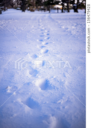 雪路上的腳印:冬日景象,人們行走在皚皚白雪中 雪路上的腳印:冬日景象,人們行走在皚皚白雪中 136479428