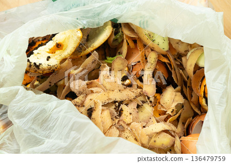 Organic Bio Waste in Garbage Bag for Compost and Recycling 136479759