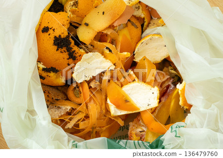 Organic Bio Waste in Garbage Bag for Compost and Recycling Organic Bio Waste in Garbage Bag for Compost and Recycling 136479760