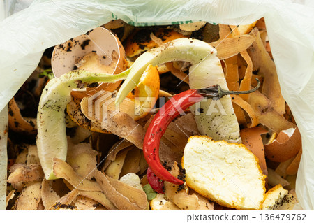 Organic Bio Waste in Garbage Bag for Compost and Recycling Organic Bio Waste in Garbage Bag for Compost and Recycling 136479762